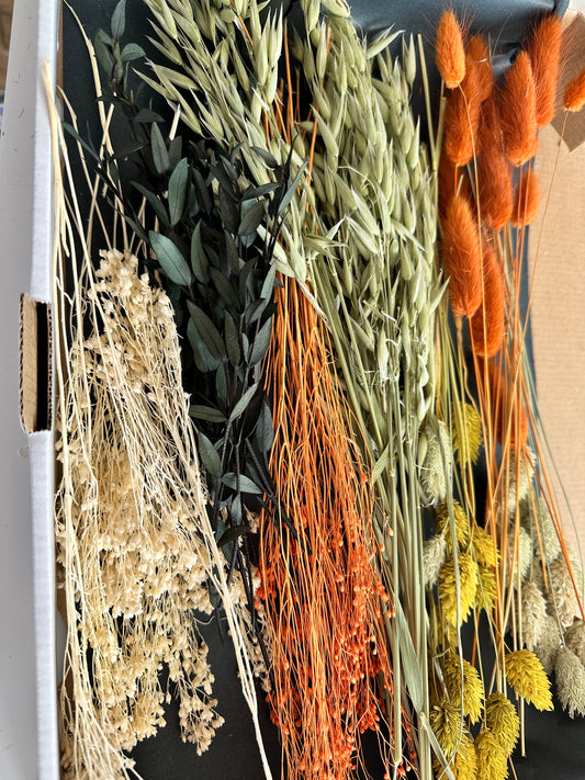 Nahaufnahme von getrockneten Blumen in herbsttönen im Trockenblumen Box Mix