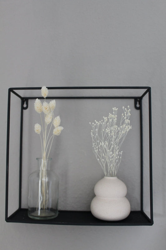 Broom Bloom weiß - Trockenblumen