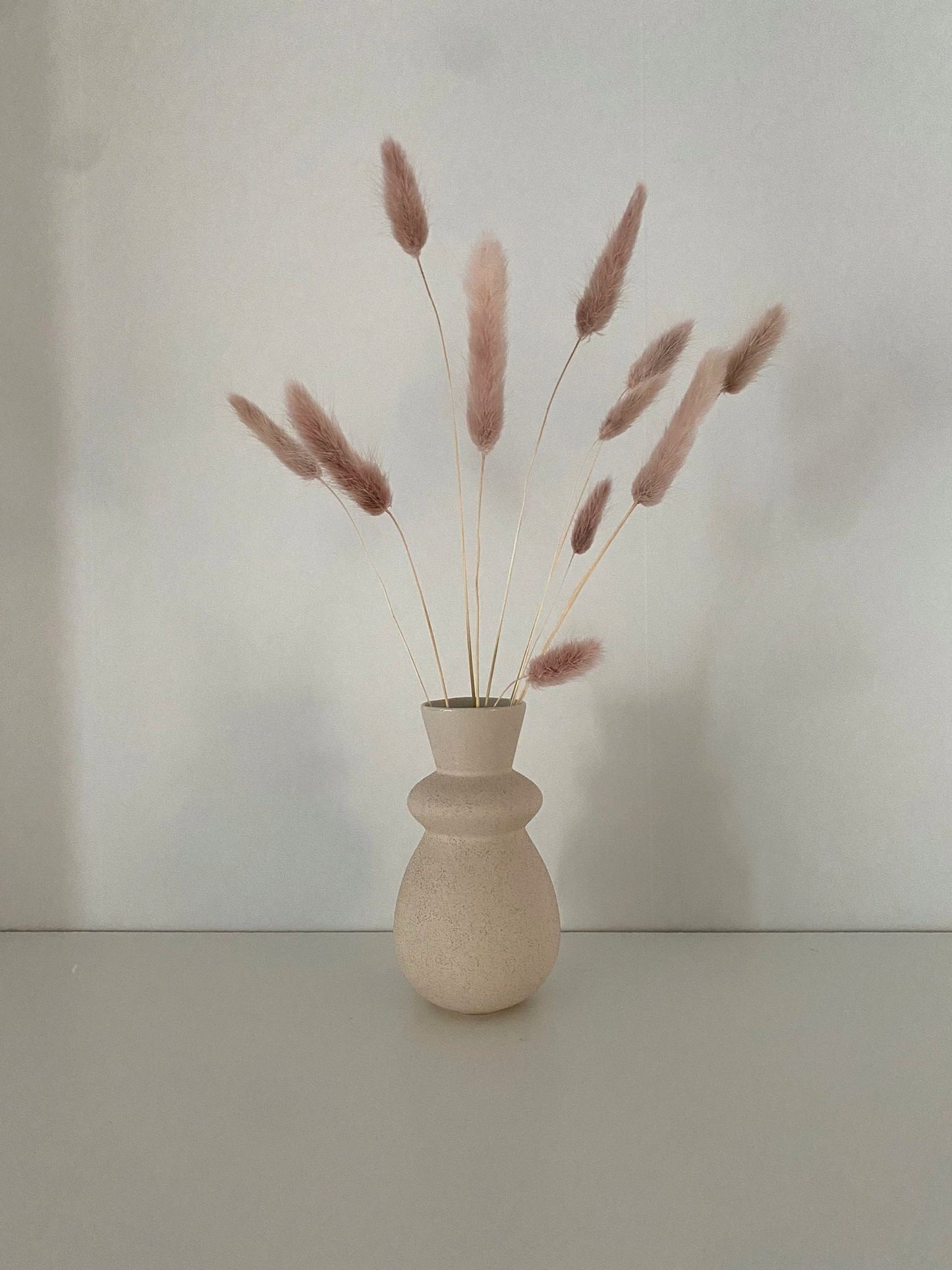 Lagurus rosa - Trockenblumen