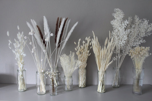 Pampasgras schmal weiß - Trockenblumen