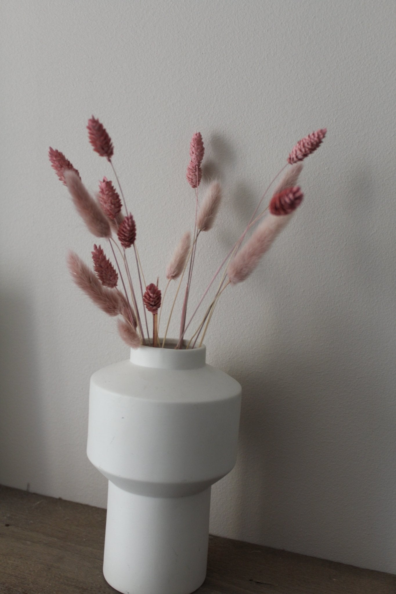 Phalaris rosa - Trockenblumen