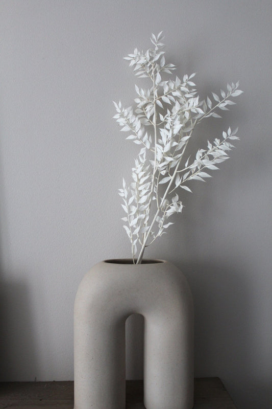 Ruskus weiß - Trockenblumen