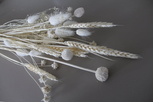 Weizen weiß - Trockenblumen