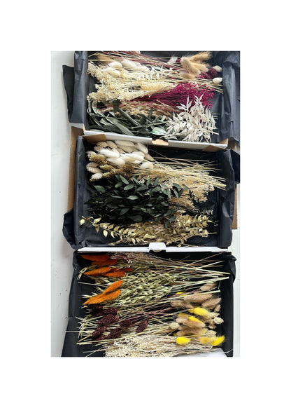 Trockenblumenbox Herbst- und Winteredition DIY Set | Trockenblumen Mix in verschiedenen Farben | Weihnachtsedition