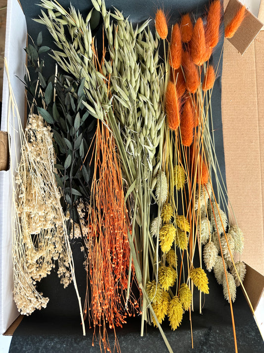Trockenblumenbox DIY Set Herbst | orange natur gelb