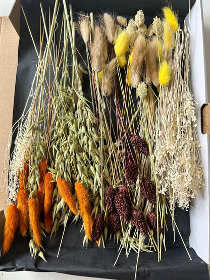 Trockenblumenbox Herbst- und Winteredition DIY Set | Trockenblumen Mix in verschiedenen Farben | Weihnachtsedition