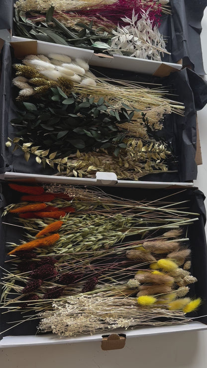 Trockenblumenbox Herbst- und Winteredition DIY Set | Trockenblumen Mix in verschiedenen Farben | Weihnachtsedition
