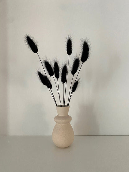 Lagurus schwarz – Lizasliving