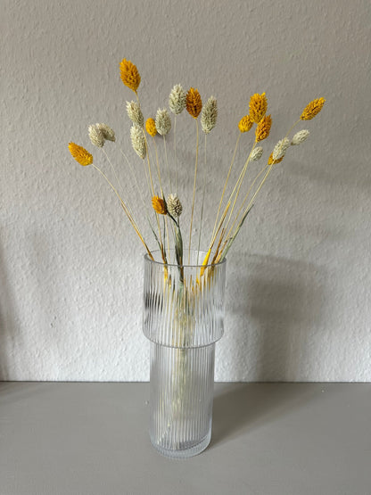 Phalaris gelb - Trockenblumen